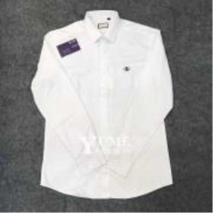 ÁO NAM BURBERRY 