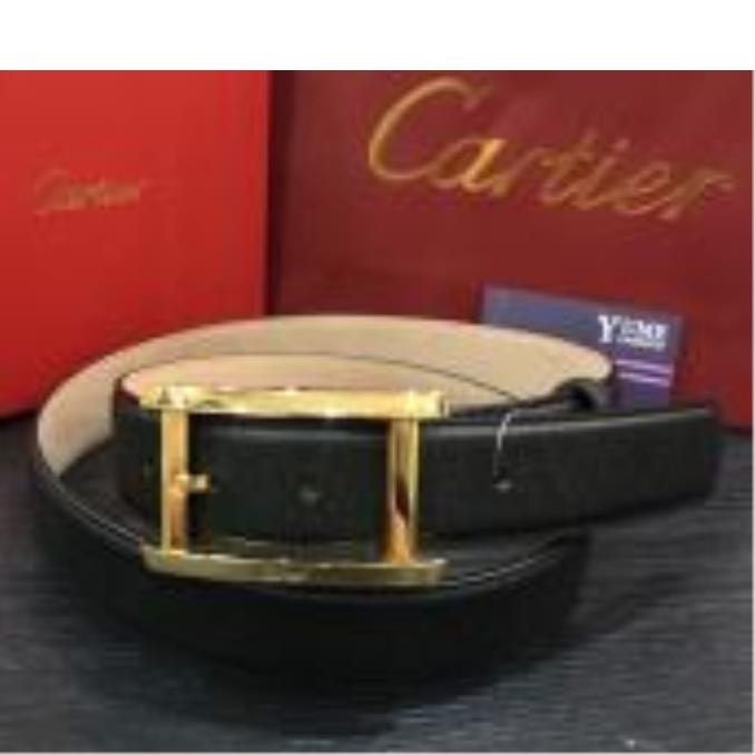DÂY NỊT CATIER 