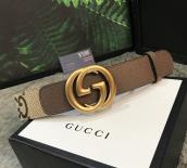 DÂY NỊT GUCCI 