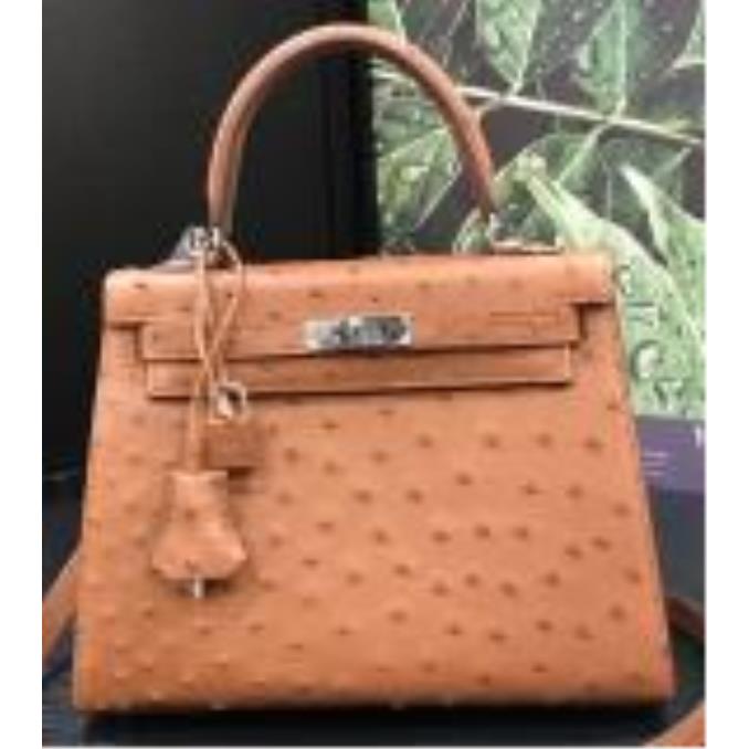 TÚI XÁCH HERMES Kelly 25cm da Ðà Ði?u