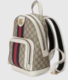 TÚI XÁCH GUCCI Backpack GC