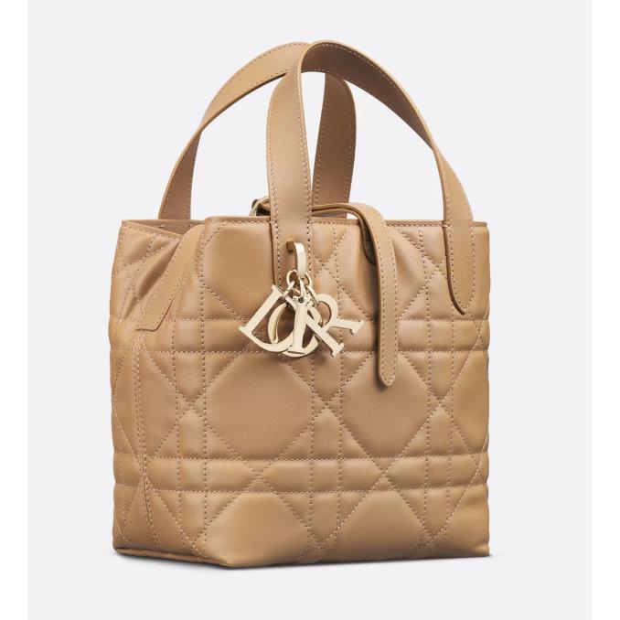 TÚI XÁCH DIOR&nbsp;Small Dior Toujours Vertical Tote Bag