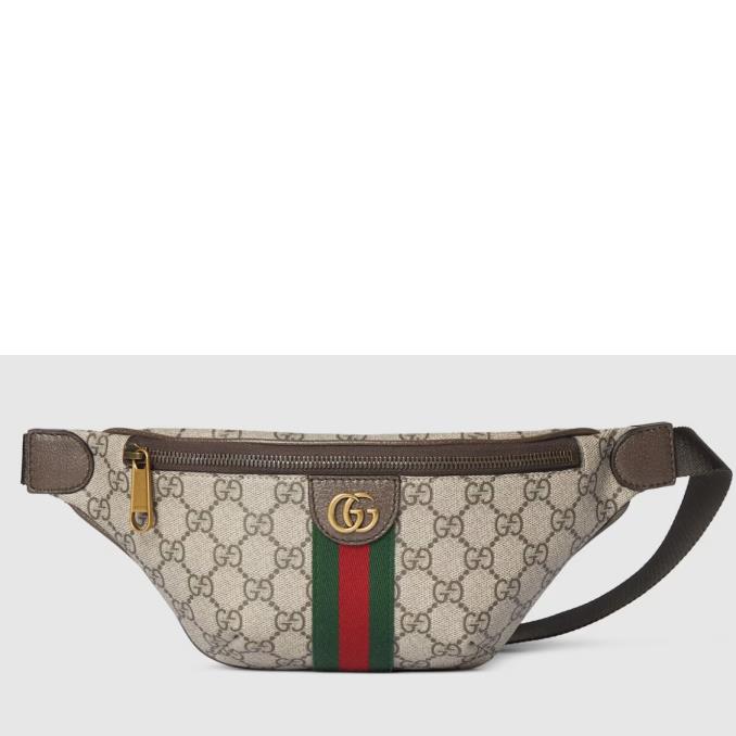 TÚI XÁCH GUCCI&nbsp;Ophidia small belt bag